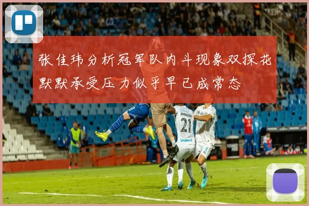 张佳玮分析冠军队内斗现象双探花默默承受压力似乎早已成常态